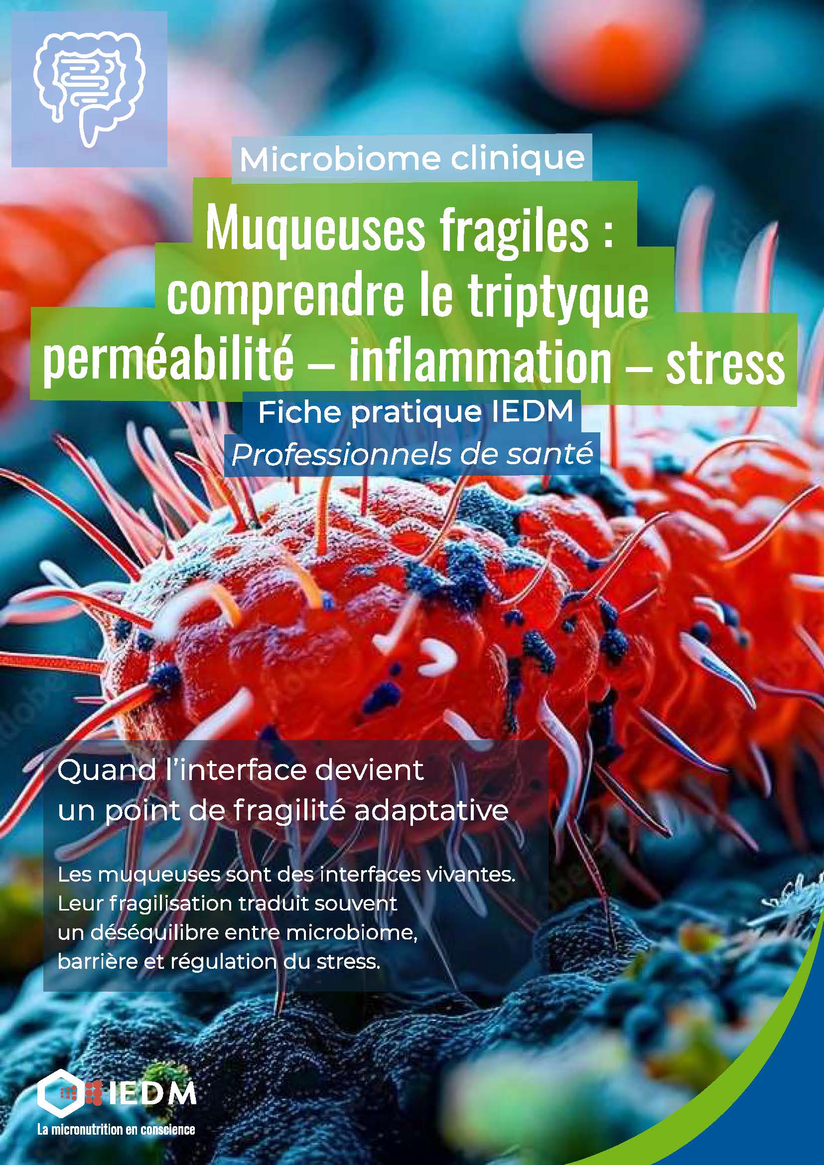 Fiche pratique IEDM : Muqueuses fragiles comprendre le triptyque perméabilité – inflammation – stress