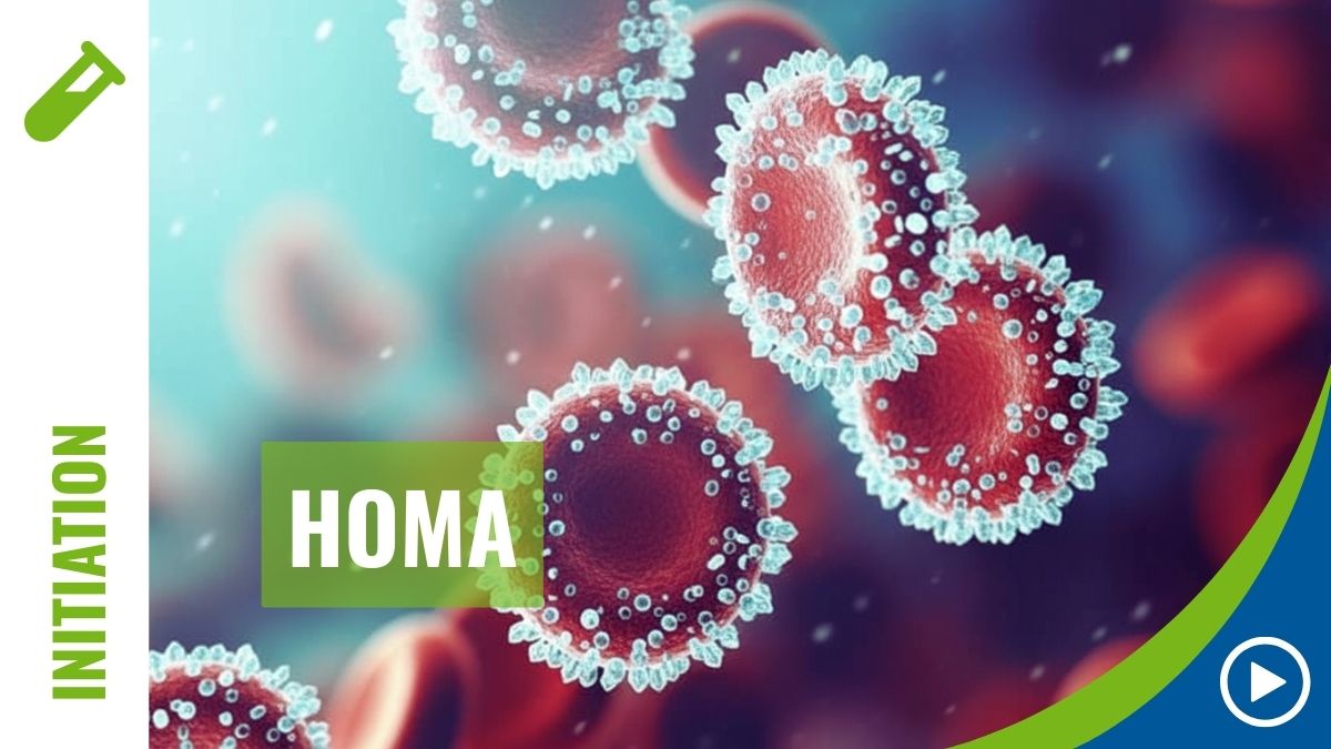 BIOMARQUEURS - Hémogramme