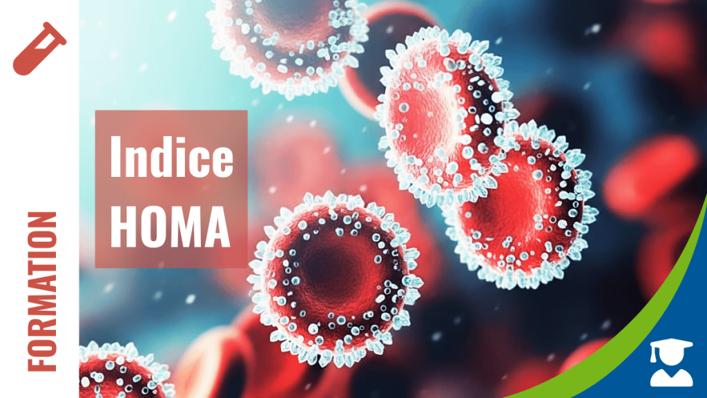 Formation biomarqueur indice HOMA IEDM