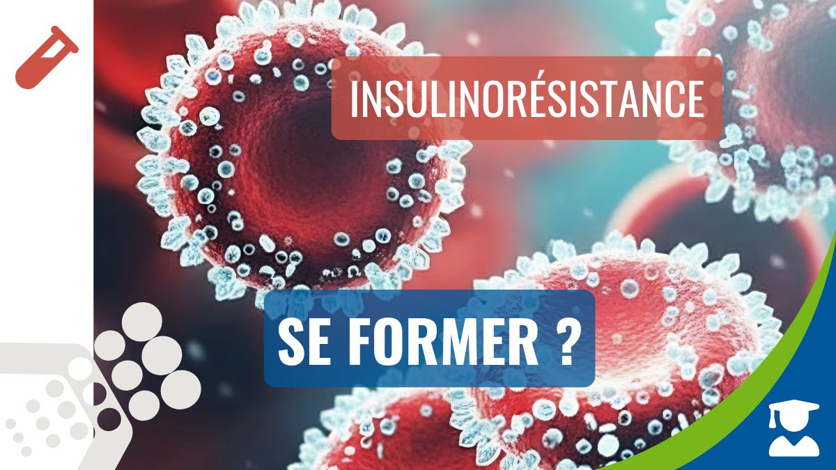 Formation insulinorésistance : quels outils pour interpréter HOMA, HbA1c et insuline ?