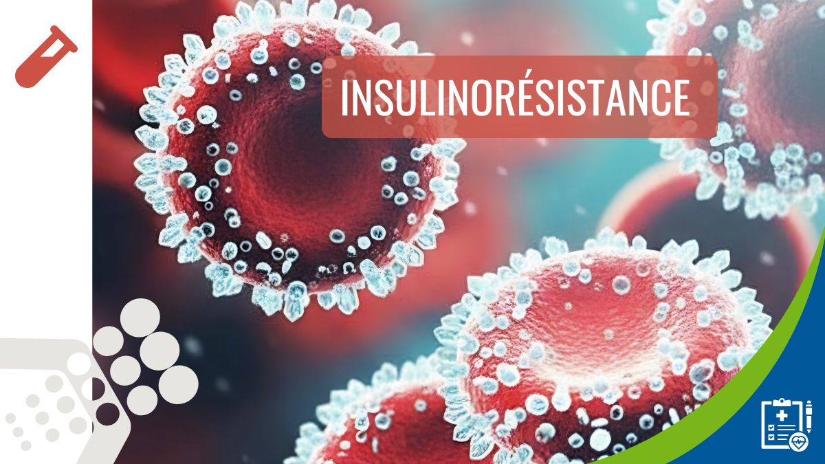 Insulinorésistance : comment l’identifier précocement et interpréter les biomarqueurs en pratique clinique