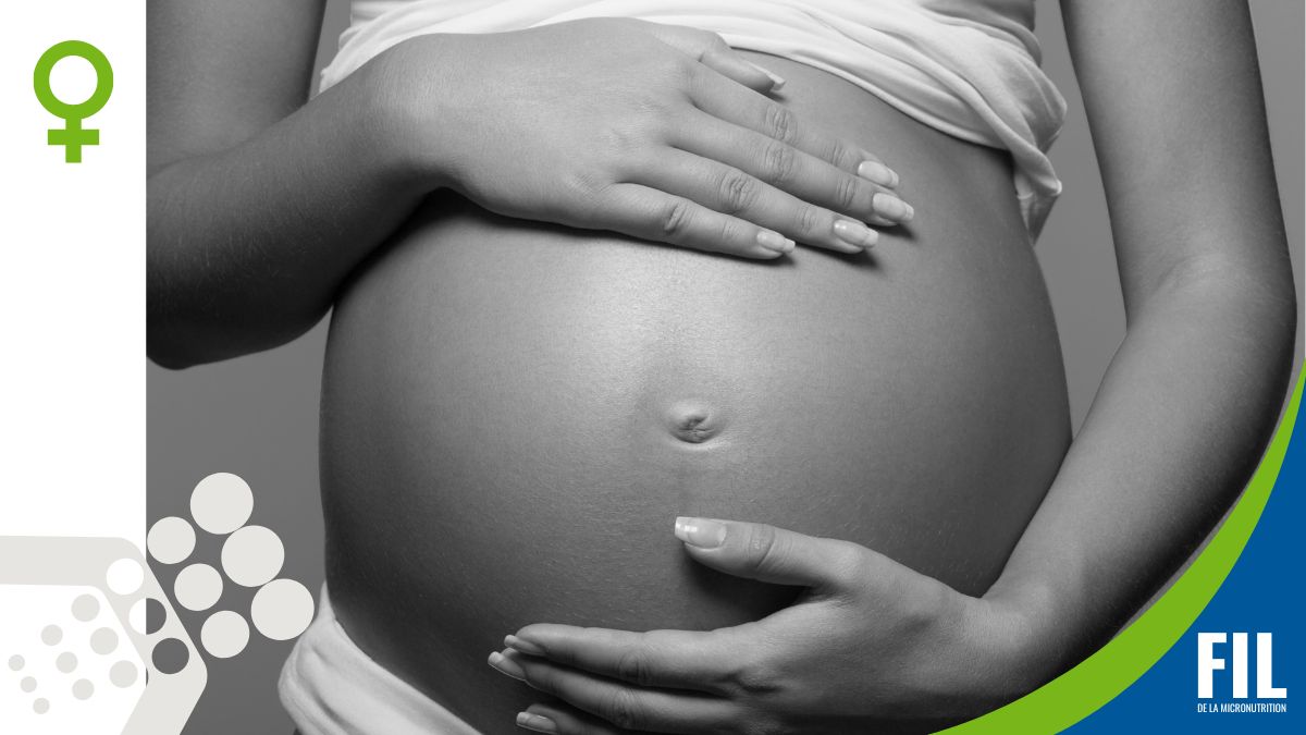 Prénatal moderne : iode, choline et DHA. Sécuriser les apports clés pour le développement fœtal