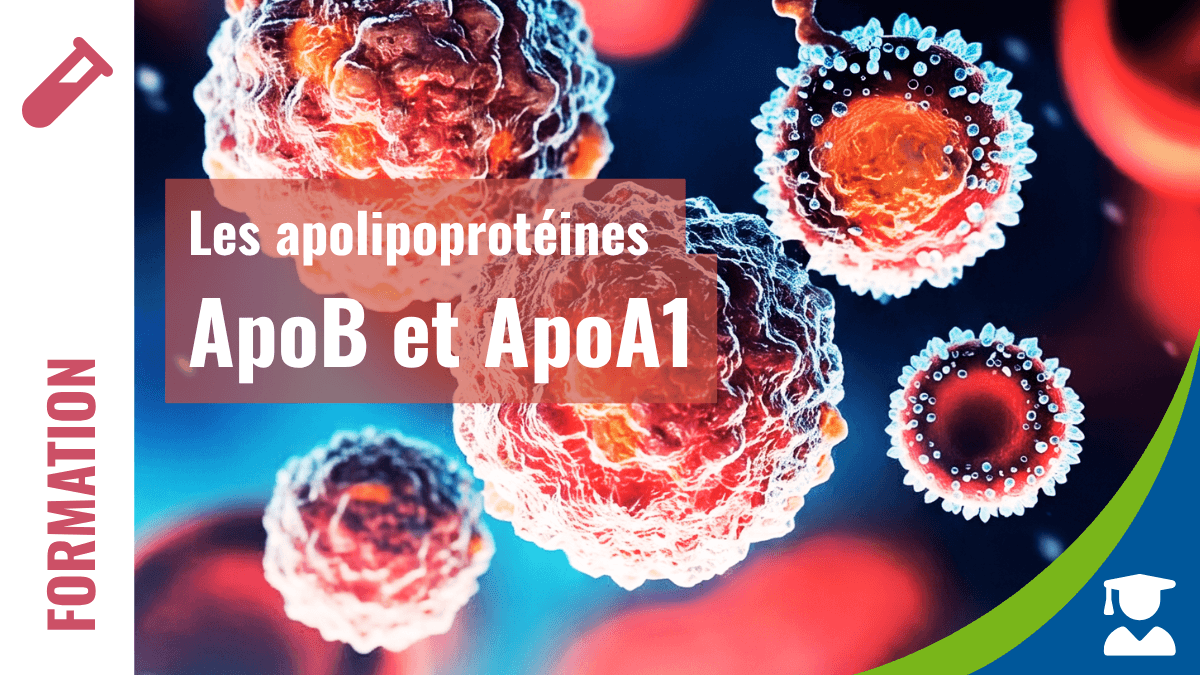 ApoB & ApoA1