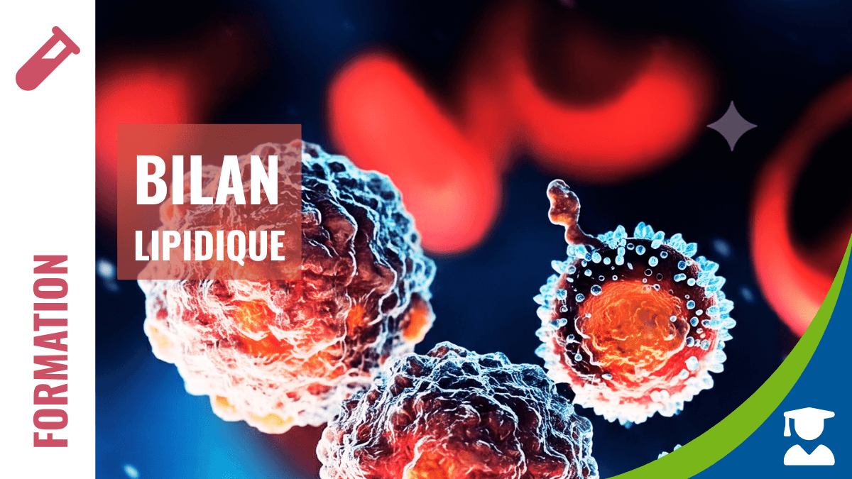 Le bilan lipidique