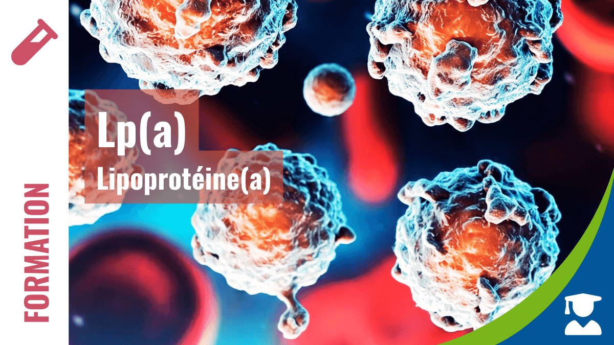Lipoprotéine(a) – Lp(a)