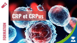 CRP élevée, CRP normale, CRPus : comprendre ce que mesure réellement ce biomarqueur pour mieux interpréter les résultats
