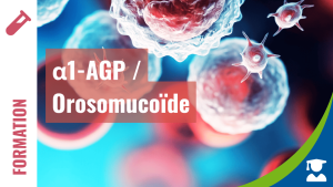 α1-AGP / Orosomucoïde : Comprendre la temporalité de la réponse inflammatoire