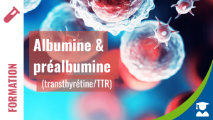 Albumine & préalbumine (transthyrétine/TTR)