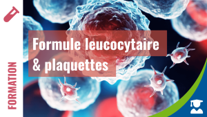 Leucocytes, plaquettes, ratios inflammatoires
